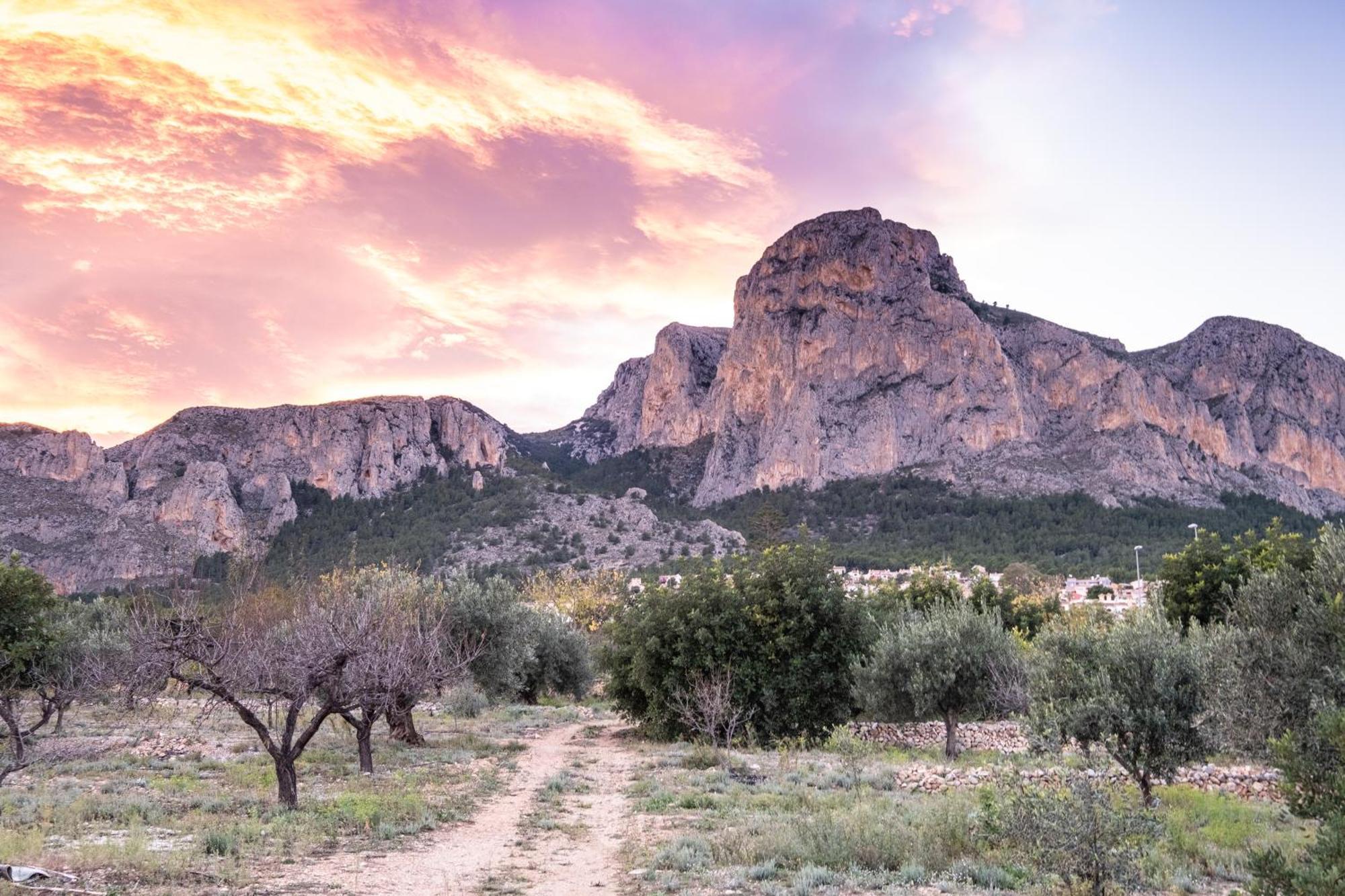 Appartement Aventino Albir El Albir Buitenkant foto